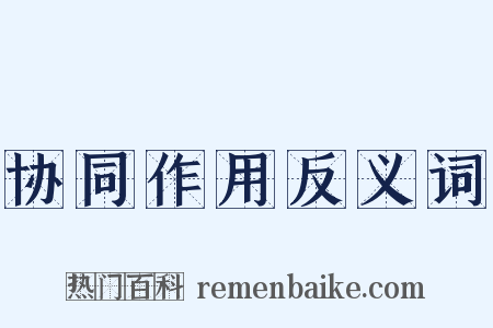 协同作用反义词是什么意思的图片